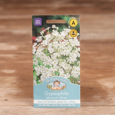 Gypsophila Monarch White - image 1