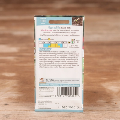 Gypsophila Monarch White - image 2