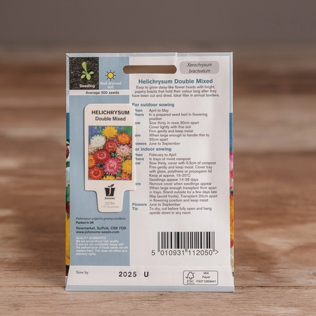 Helichrysum Double Mix - image 2