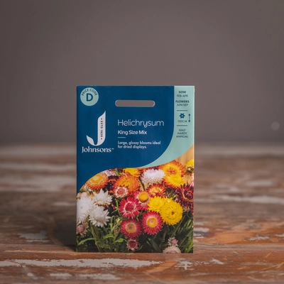 Helichrysum King Size Mix - image 1