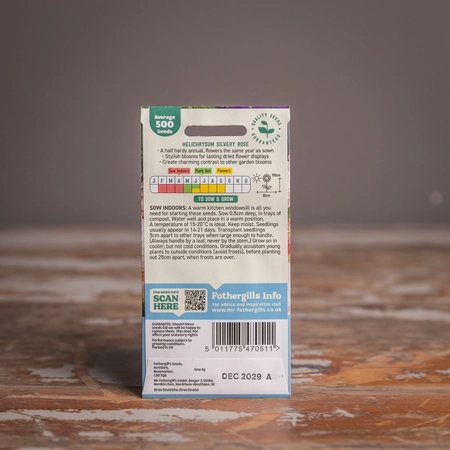 Helichrysum Silvery Rose - image 2