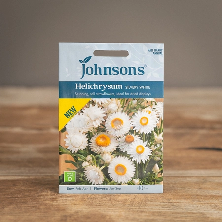 Helichrysum Silvery White - image 1