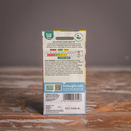 Helichrysum Strawflower Mix - image 2