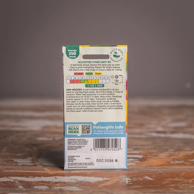 Helichrysum Strawflower Mix - image 2