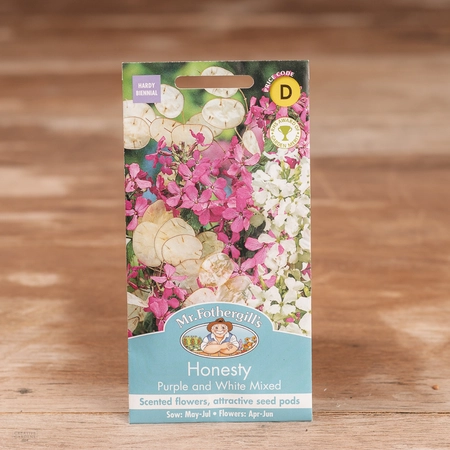 Honesty Purple And White Mix - image 1