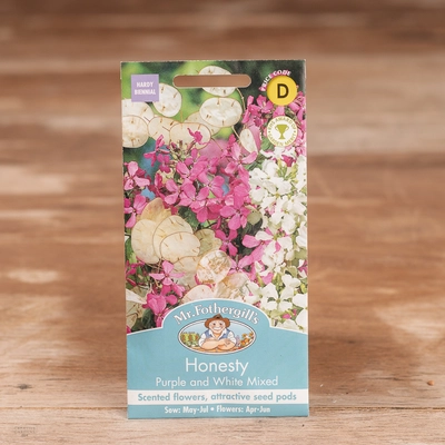 Honesty Purple And White Mix - image 1