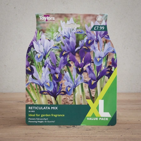 Iris Reticulata Mixed