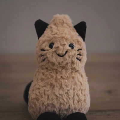 Jelly Cat Amuseables Peanut Cat