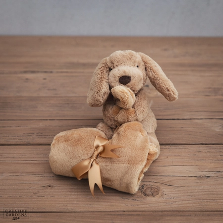 Jelly Cat Bashful Toffee Puppy Soother - image 1