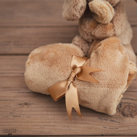 Jelly Cat Bashful Toffee Puppy Soother - image 2