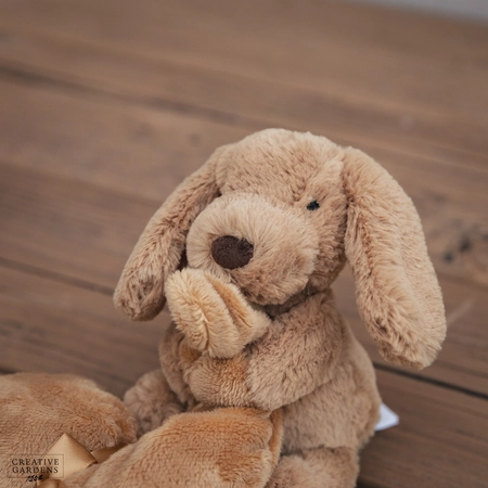 Jelly Cat Bashful Toffee Puppy Soother - image 3