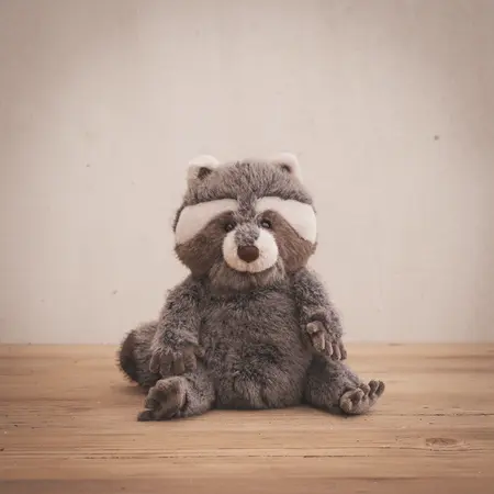 Jelly Cat Trixiwoo Raccoon