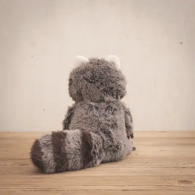Jelly Cat Trixiwoo Raccoon