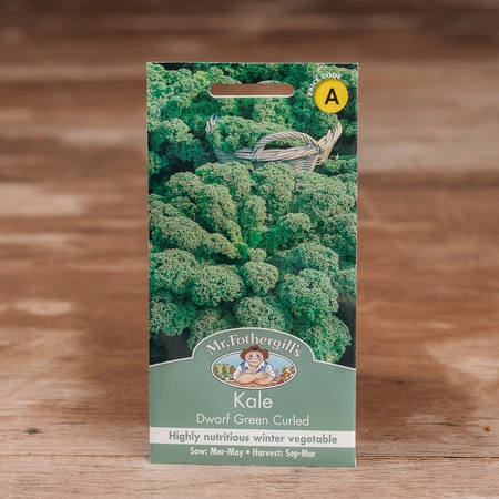 Kale Dwarf Green Curled - image 1