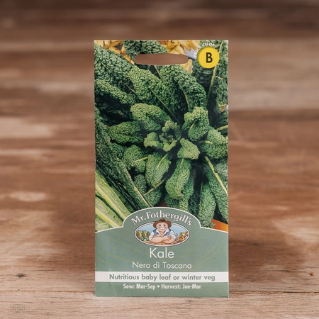 Kale Nero Di Toscana - image 1