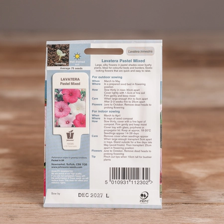 Lavatera Pastel Mix - image 2