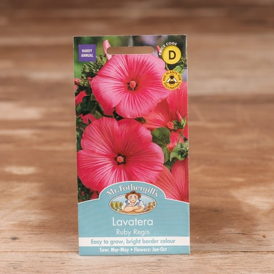 Lavatera Ruby Regis - image 1