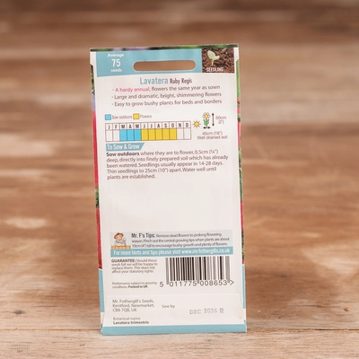 Lavatera Ruby Regis - image 2