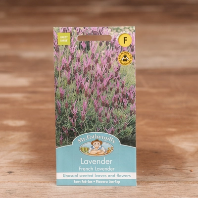 Lavender French Lavender - image 1