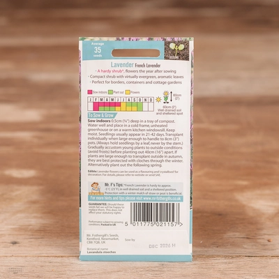 Lavender French Lavender - image 2