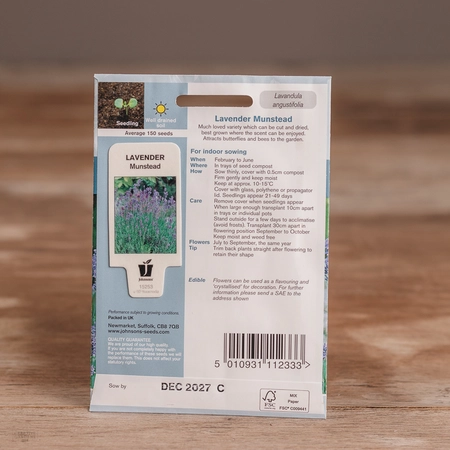 Lavender Munstead - image 2