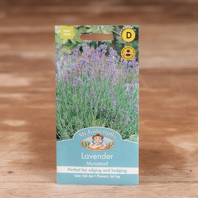 Lavender Munstead - image 1