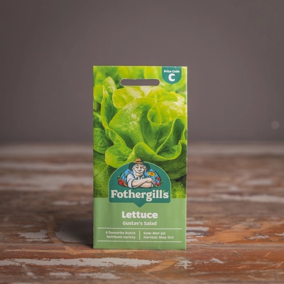 Lettuce Gustav'S Salad - image 1