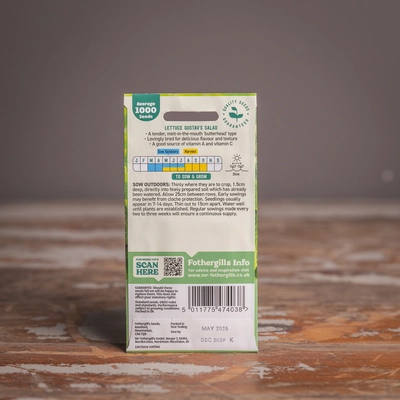 Lettuce Gustav'S Salad - image 2