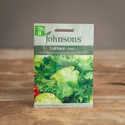Lettuce Iceberg 4