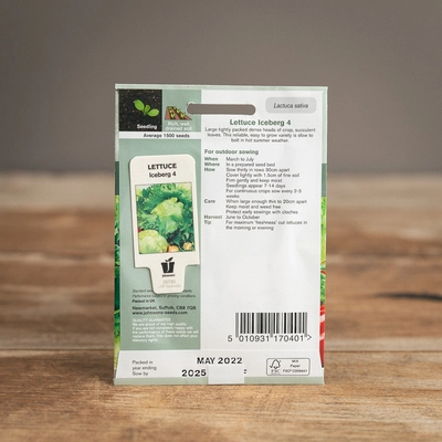 Lettuce Iceberg 4 - image 2