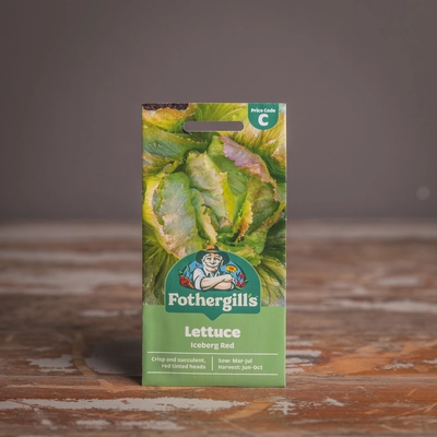 Lettuce Iceberg Red - image 1