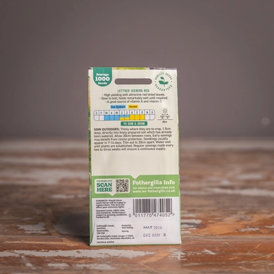 Lettuce Iceberg Red - image 2