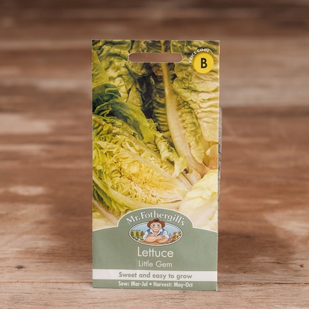 Lettuce Little Gem - image 1