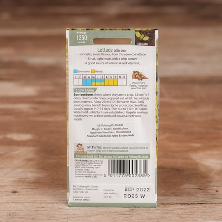 Lettuce Little Gem - image 2