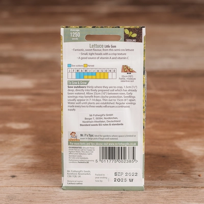 Lettuce Little Gem - image 2