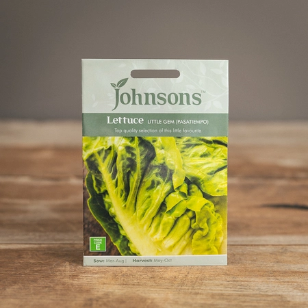 Lettuce Little Gem (Pasatiempo) - image 1