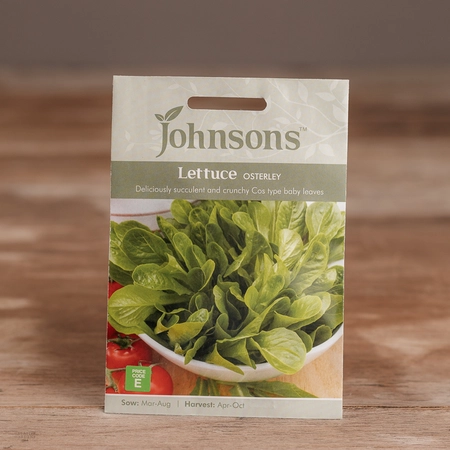 Lettuce Osterley - image 1