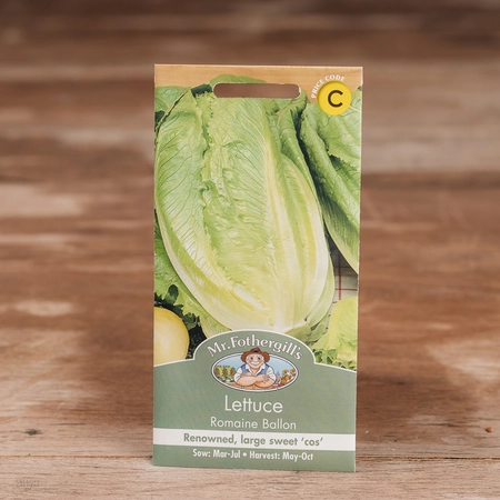 Lettuce Romaine Ballon - image 1