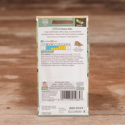 Lettuce Romaine Ballon - image 2