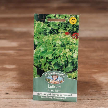 Lettuce Salad Bowl - image 1