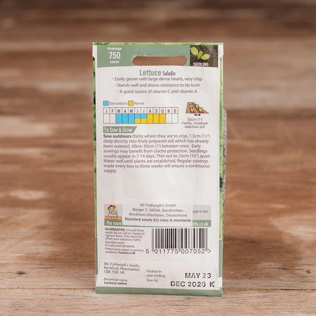 Lettuce Saladin - image 2
