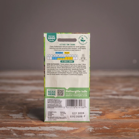 Lettuce Tom Thumb - image 2