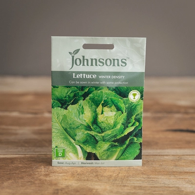 Lettuce Winter Density