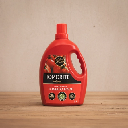Levington Tomorite Concentrate 2.5L