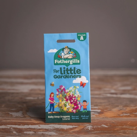 Lg Baby Snap Dragons Linaria - image 1