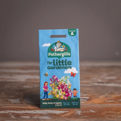 Lg Baby Snap Dragons Linaria - image 1