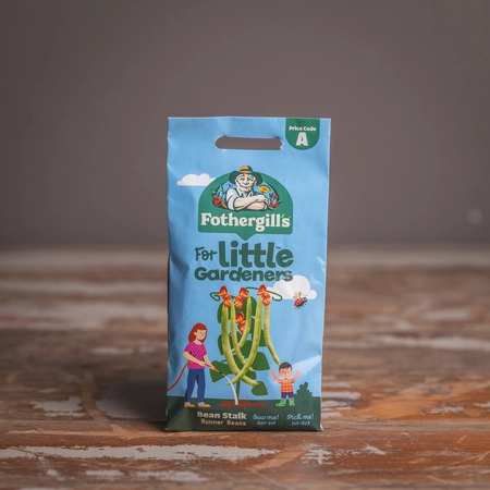 Lg Bean Stalk Runner Beans - image 1