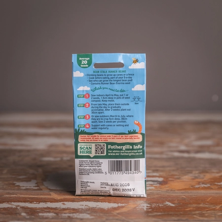 Lg Bean Stalk Runner Beans - image 2