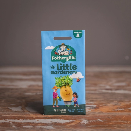 Lg Egg Heads Cress - image 1