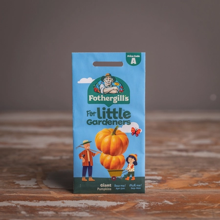 Lg Giant Pumpkins - image 1